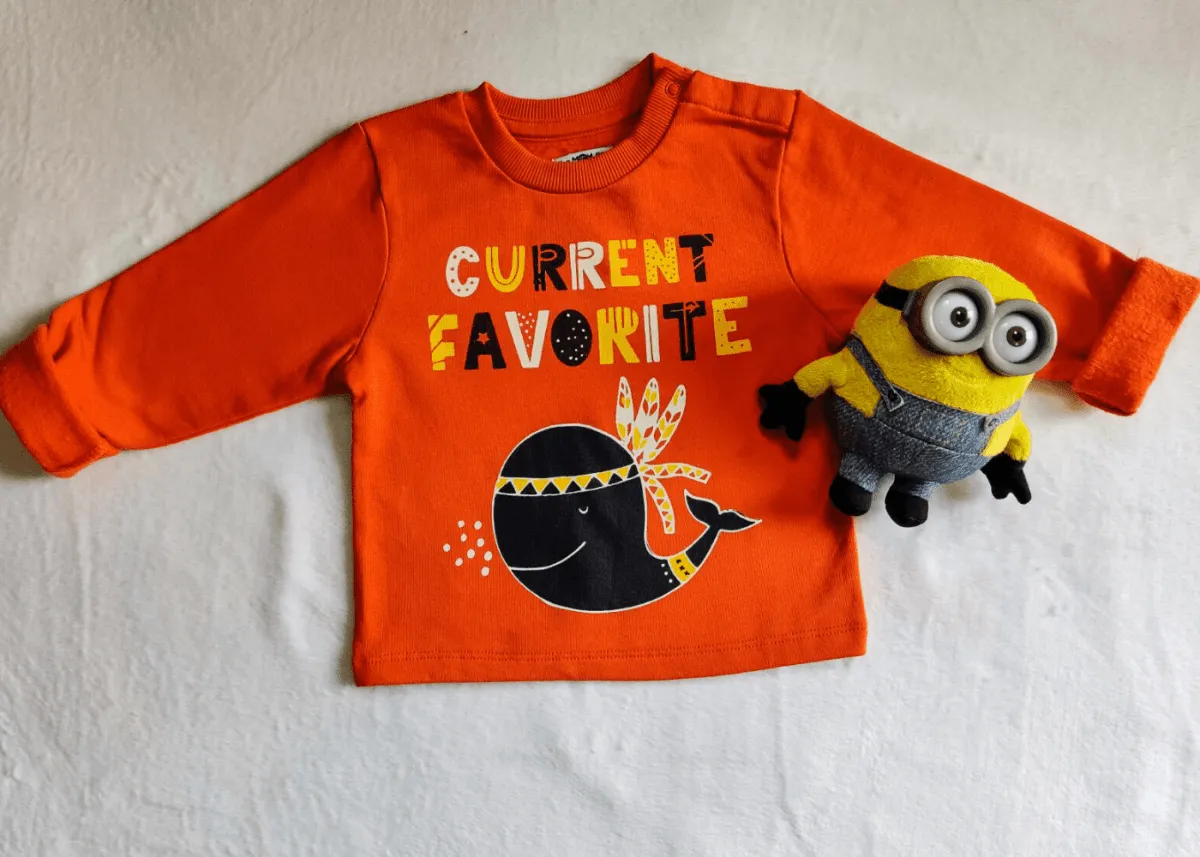 Sweatshirt- Pirate Whale