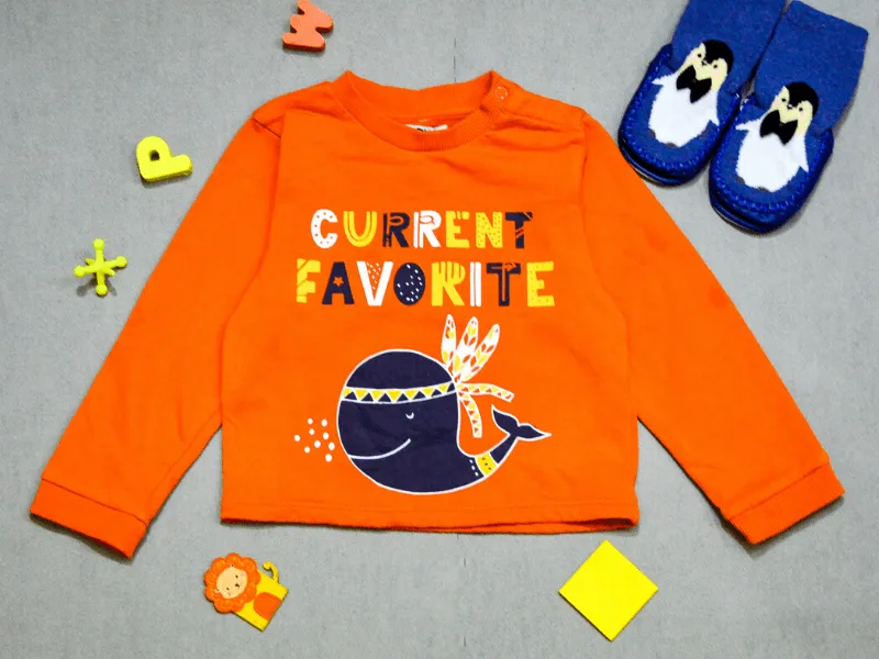Sweatshirt- Pirate Whale